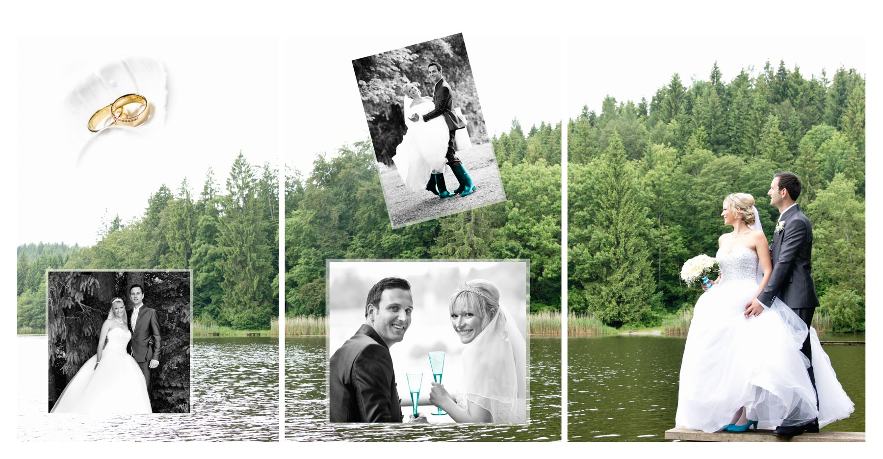 Image module